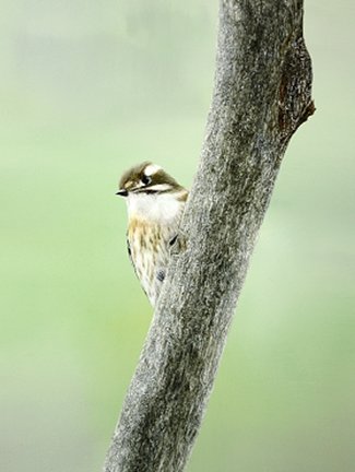photo35.jpg