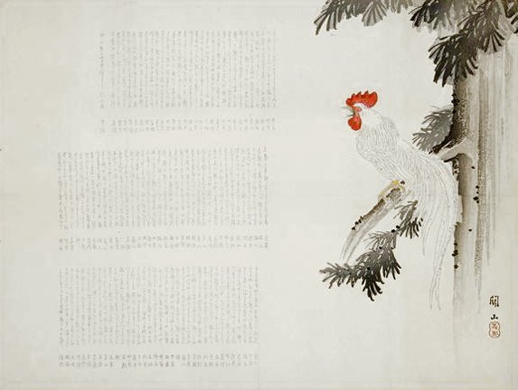 photo14.jpg