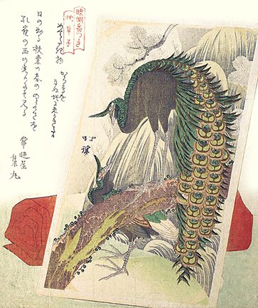 photo11.jpg