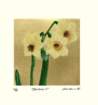 photo11_small.jpg