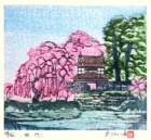 photo15_small.jpg