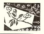 photo73_small.jpg